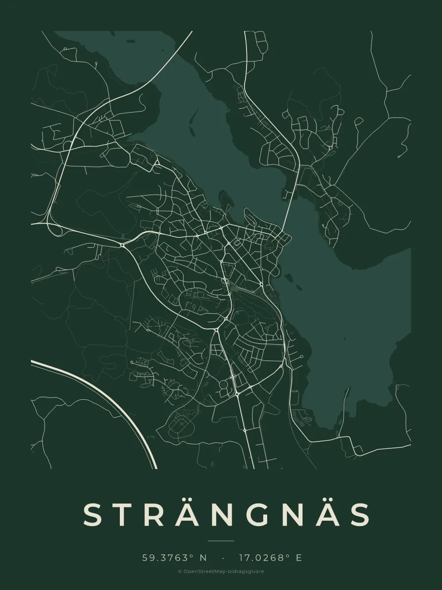 Kartposter över Strängnäs i stilen Skog